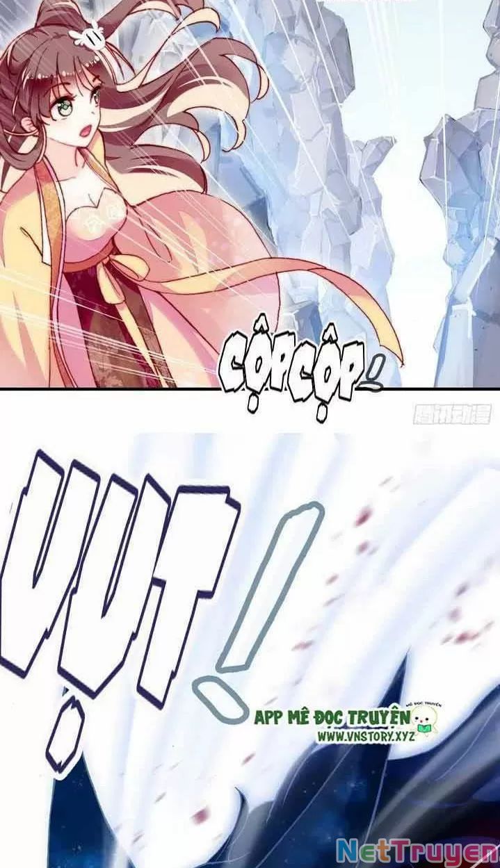 lại bị bệnh chiều chuộng quấn lấy chapter 14 12