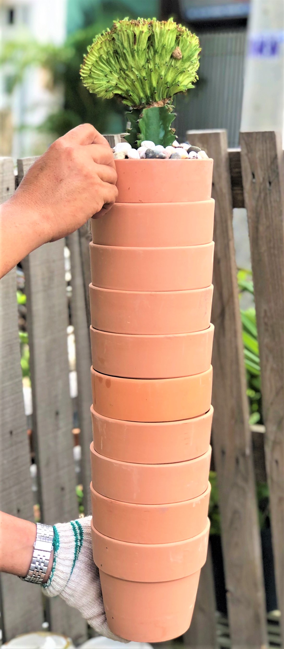 Bộ 10 chậu đất nung trồng xương rồng sen đá Rộng 14 cm x Cao 13 cm