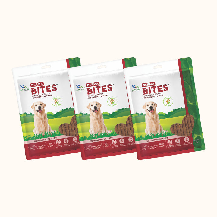 Snack bổ sung dưỡng chất cho chó - DIGESTIVE BITES (Vị gan gà)