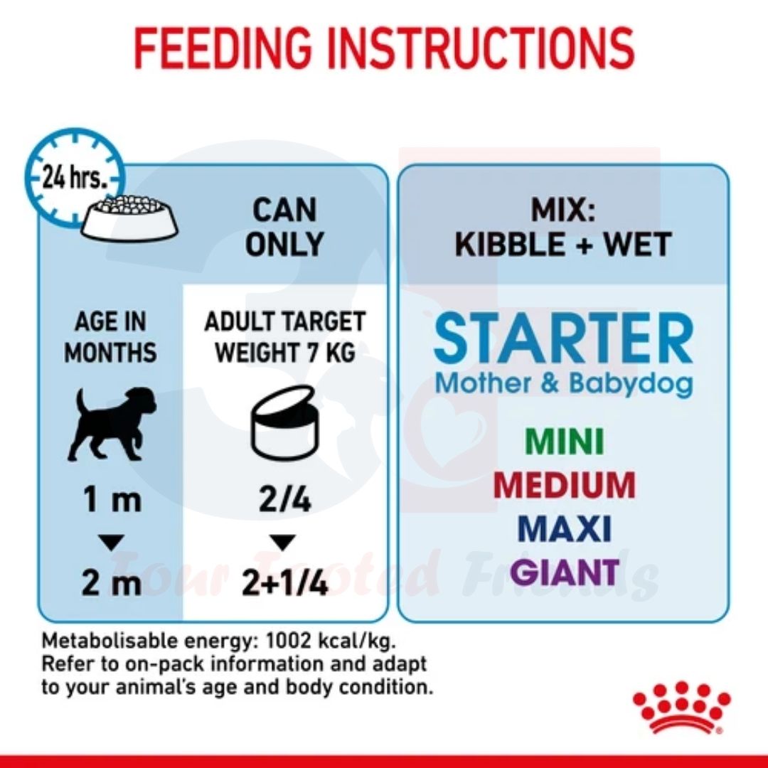 Pate thức ăn ướt Royal Canin Starter Mousse Mother &amp; Babydog Dành Cho Chó Mẹ Mang Thai VÀ Cho Con Bú, Chó Con Dưới 2 Tháng Tuổi Dạng Loaf - Lon 195gr