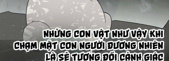 kĩ nguyên của anh hùng chapter 70.5 72