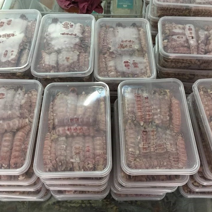 Thịt Tôm Tít
