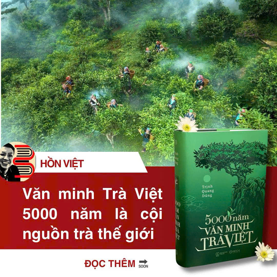 (Bìa cứng) 5000 NĂM VĂN MINH TRÀ VIỆT – Trịnh Quang Dũng - Mochibooks