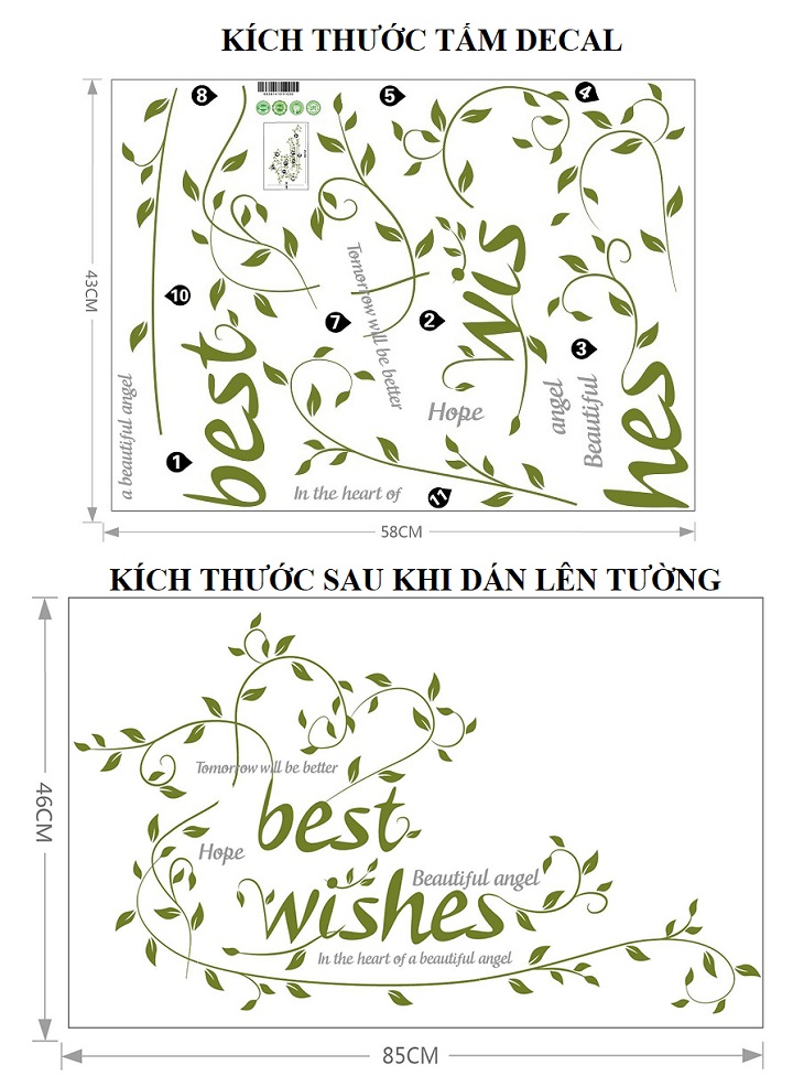 Decal dán tường Best Wishes lá xanh mang lại sự tươi mới cho không gian sống