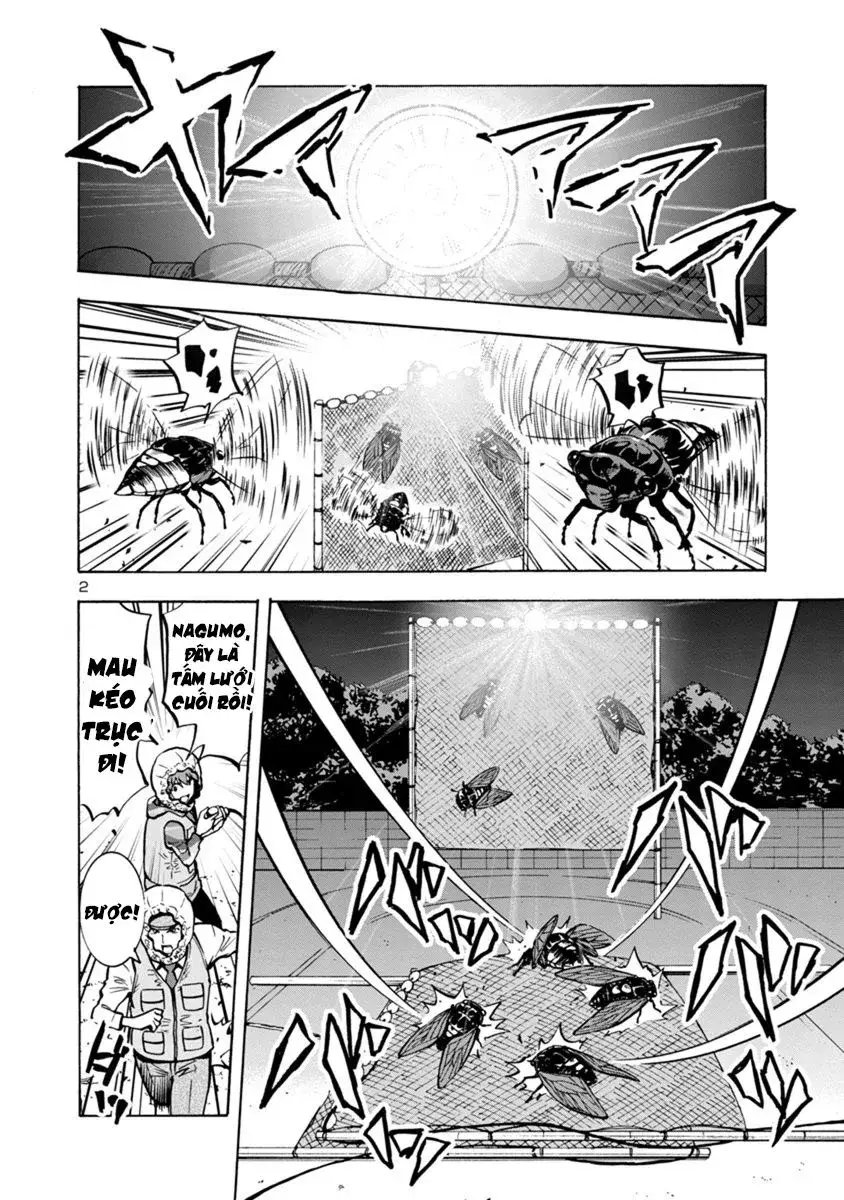 Siêu Đảo Côn Trùng chapter 9.2 2