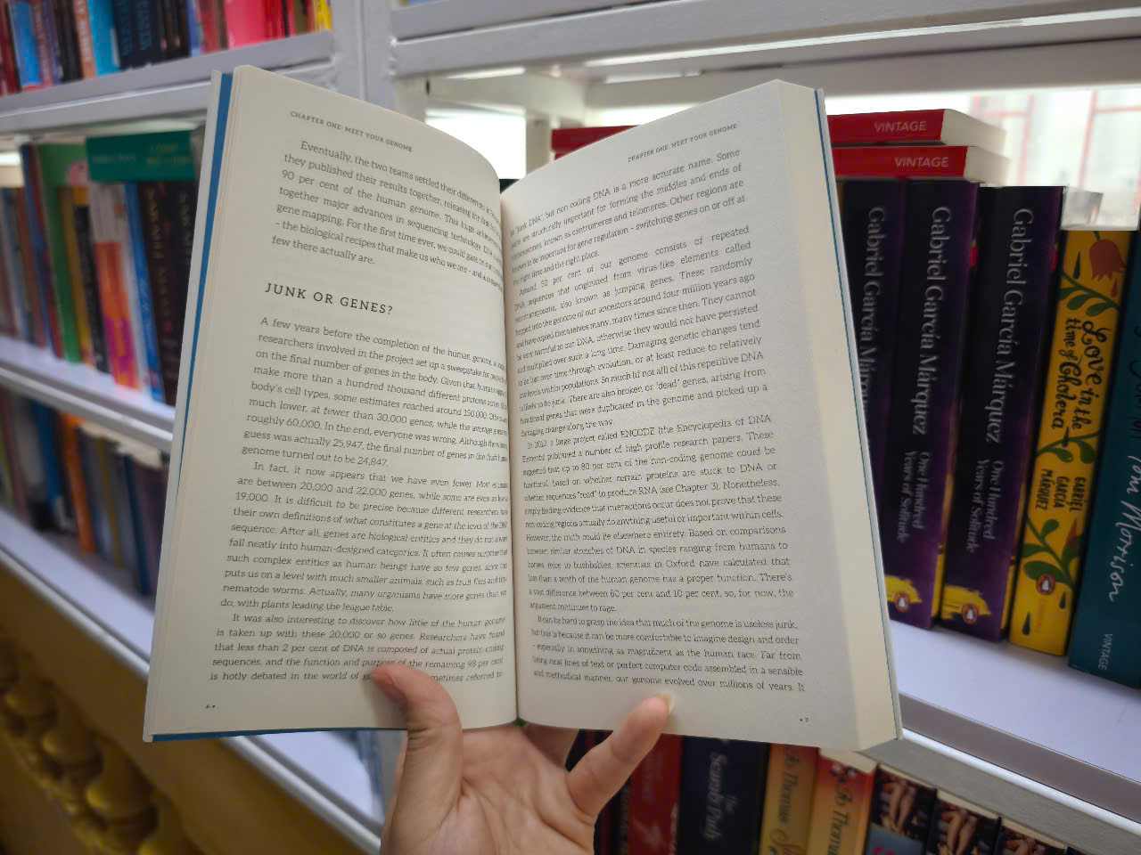 Sách - DNA: The Compact Guide by Kat Arney  - Genetics/Nonfiction in English