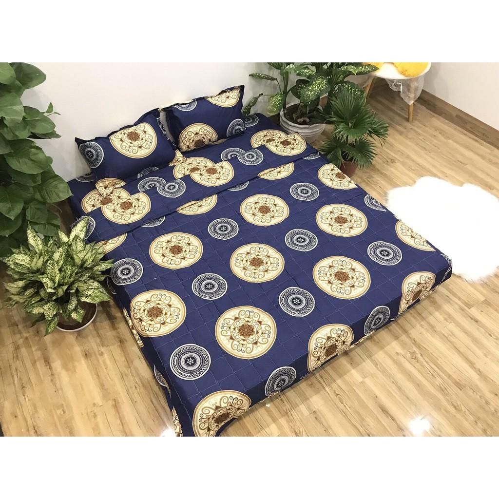 Bộ ga chun và 2 áo gối nằm Emmidecor -  mẫu đồng tiền xanh, drap cotton poly