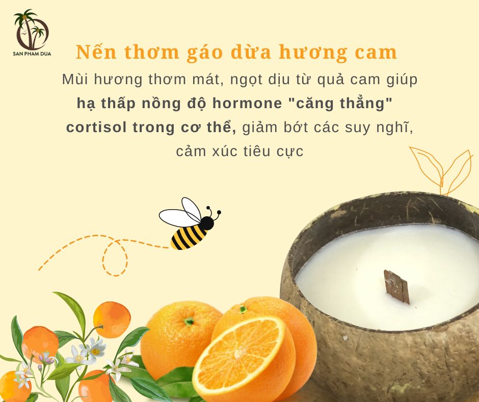 Nến thơm hương cam gáo dừa