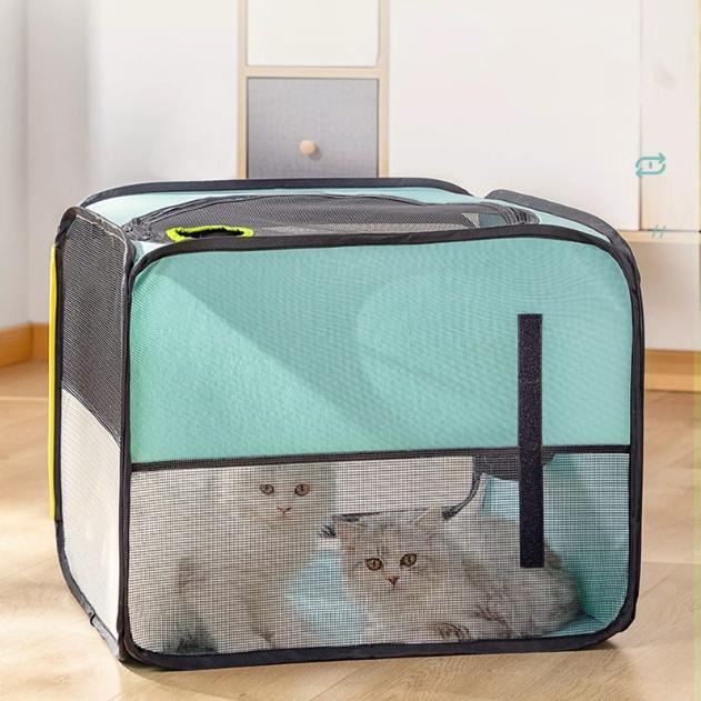 Hộp Sấy Khô Cho Chó Mèo Dan-Won Drying Oven ️ FREESHIP ️
