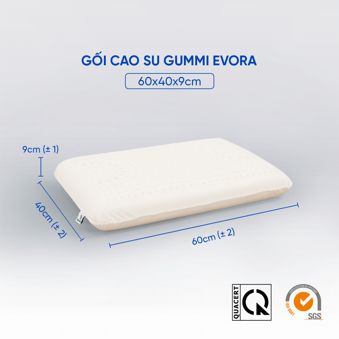 Gối cao su Gummi Evora 40x60cm cao cấp, chống đau cột sống cổ, kháng khuẩn, thoáng mát