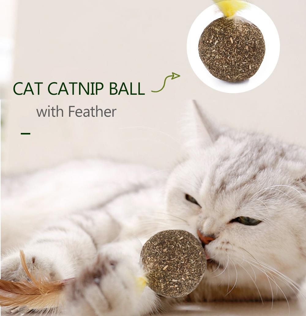 Đồ Chơi Bóng Lông Vũ Có Cỏ Catnip Làm Sạch Răng Cho Mèo