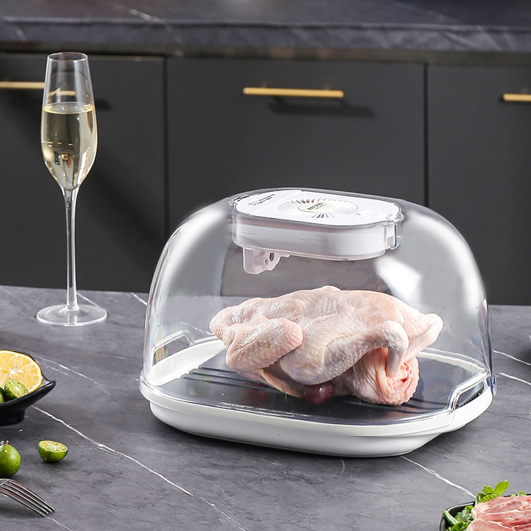 Khay rã đông cấp tốc 360 Kayuso JY210801 Công Nghệ Ion An Toàn Cho Thực Phẩm Defrosting Tray for Froze