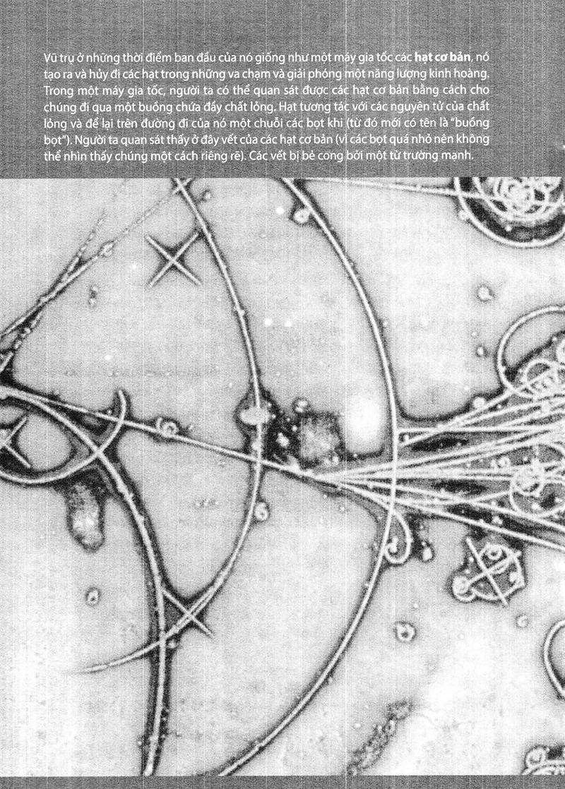 Sách Nguồn Gốc - Nỗi Hoài Niệm Về Những Thuở Ban Đầu