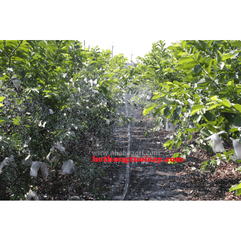 Dây tưới phun mưa phi 34mm 150M