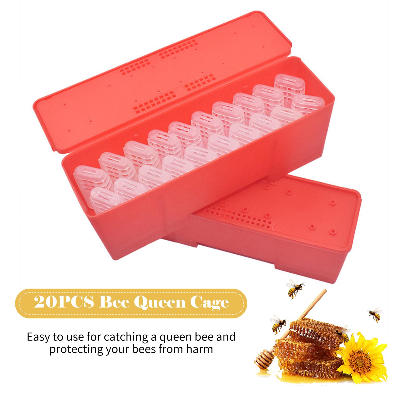 Bee Queen Transport Box Bee Queen Cage Holder Queen Bee Rearing System for Beekeeper Supplies Hive Tool Kit