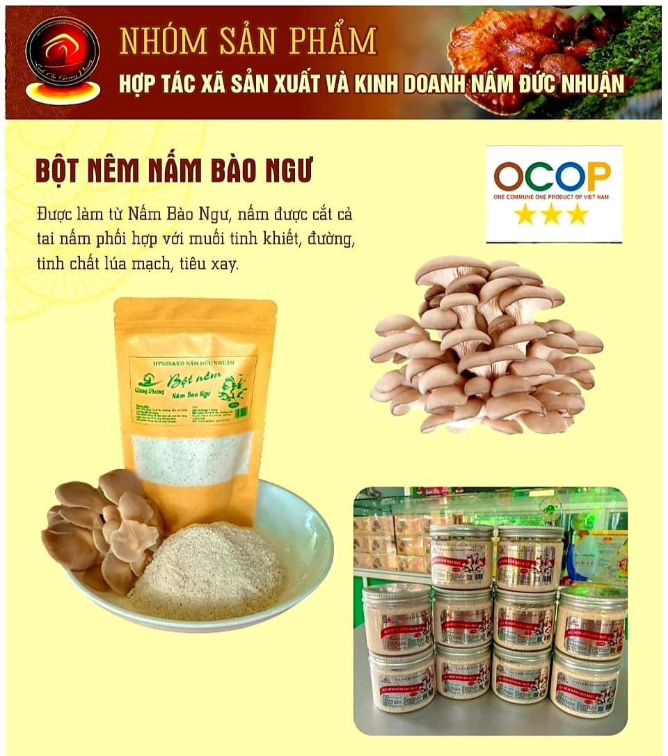 Bột Nêm Nấm Bào Ngư Thương Hiệu Giang Phong , Bột Nêm Chay Hữu Cơ, Hạt Nêm Được Chiết Xuất Từ Nấm Bào Ngư Nguyên Chất 100% Sản Phẩm Đạt Chuẩn OCOP 4 Sao Và Tiêu Chuẩn VietGap Do Tỉnh Quảng Ngãi Cấp Phép Lưu Hành