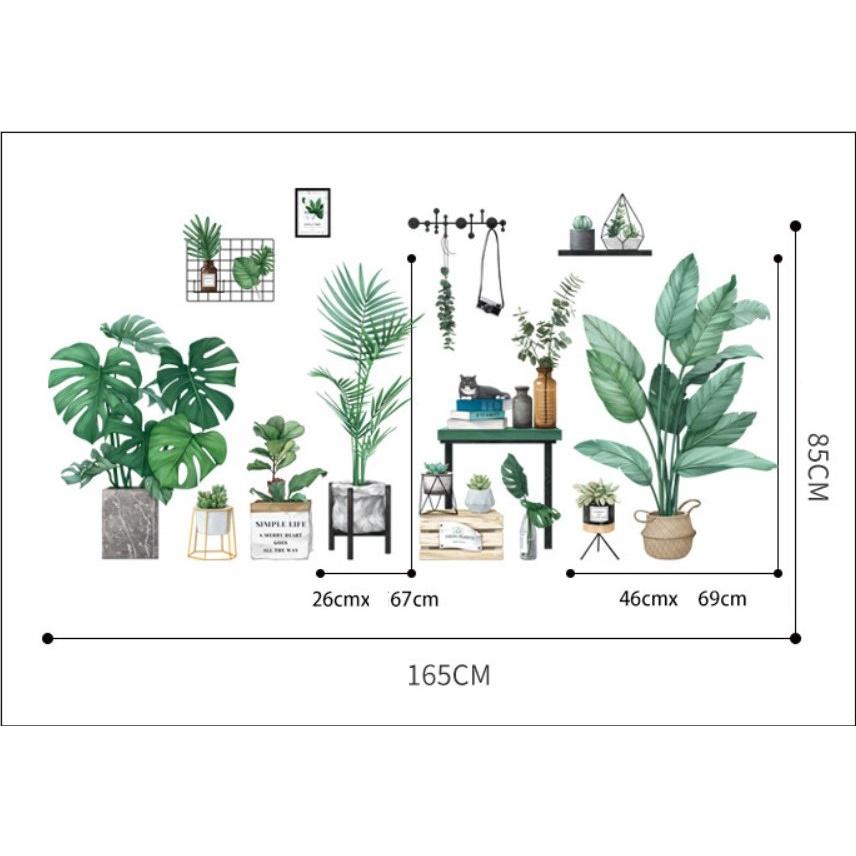 Decal dán chi tiết trang trí tường Nhiều Chậu Cây Xanh ghép 2 tấm