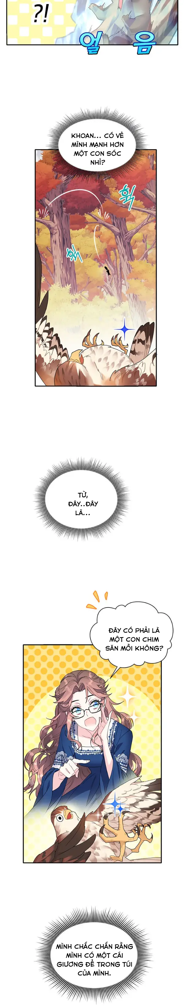 công chúa chim ưng cavier chapter 2 12