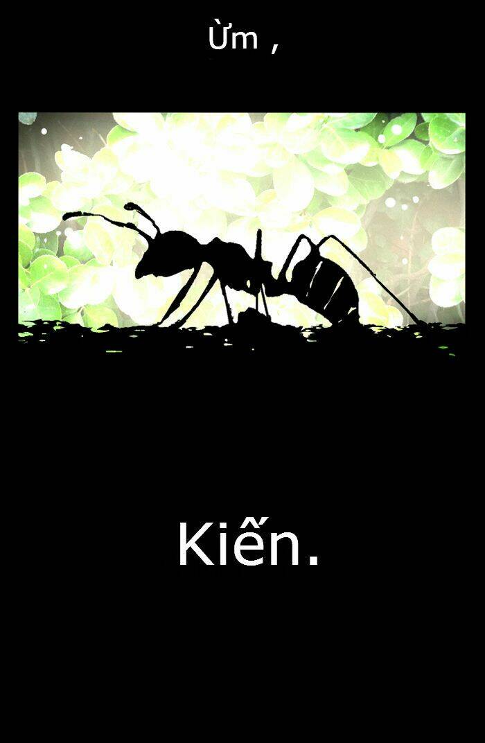 đôi mắt từ trái tim chapter 17 52