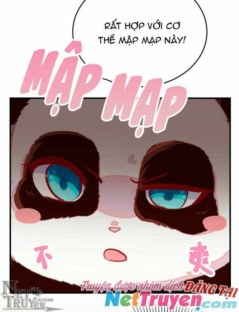 thiên thần gấu trúc muốn được ôm chapter 43 16