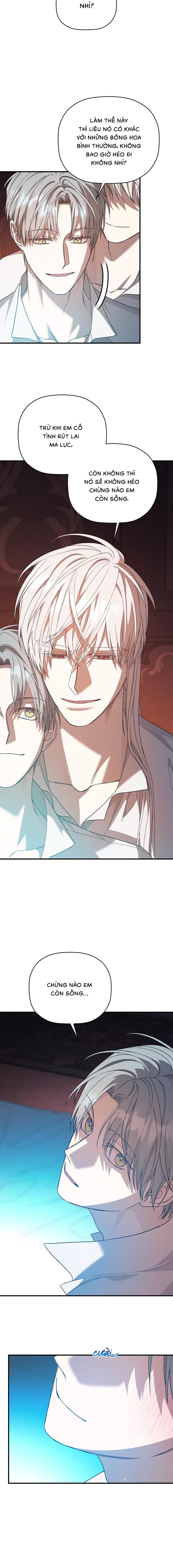 khế ước vĩnh cửu chapter 98 14