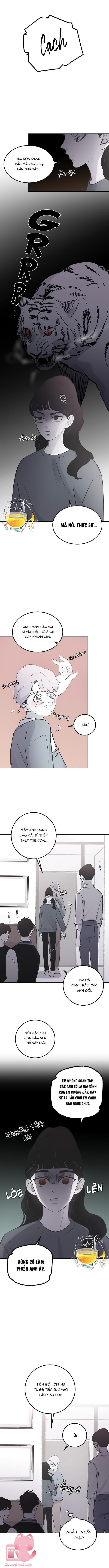 ba anh trai cực phẩm của tôi chapter 15 10