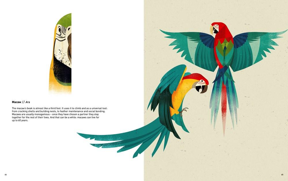 Sách - Wild Animals of the World by Dieter Br.aun