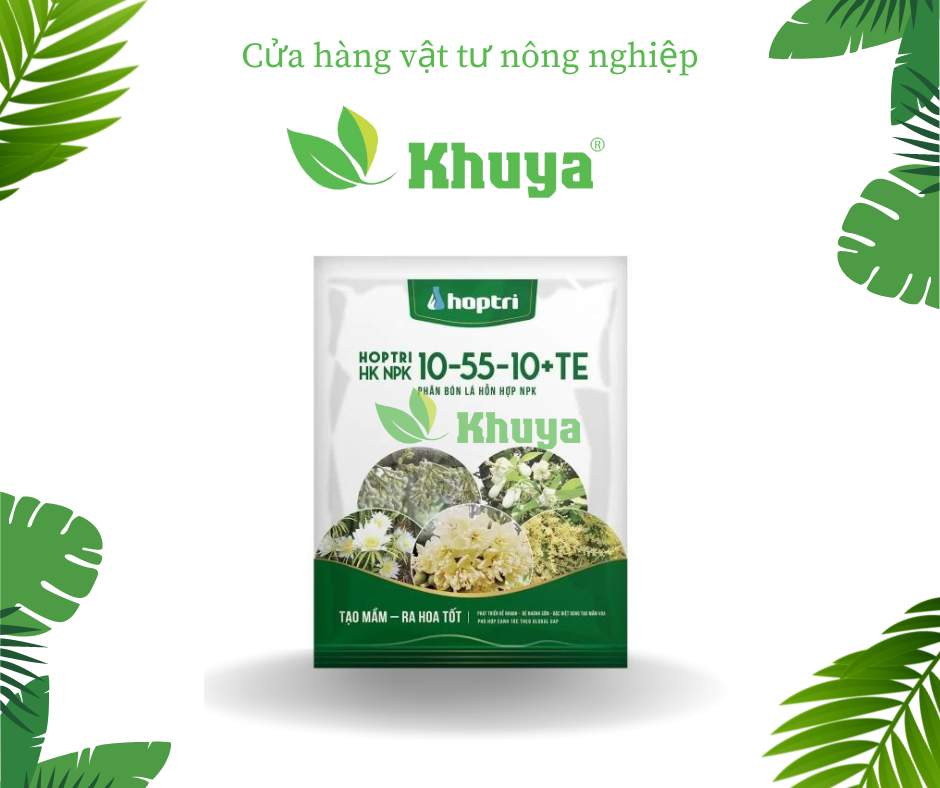Phân bón Hợp Trí HK NPK 10-55-10+TE 250gr TẠO MẦM và RA HOA