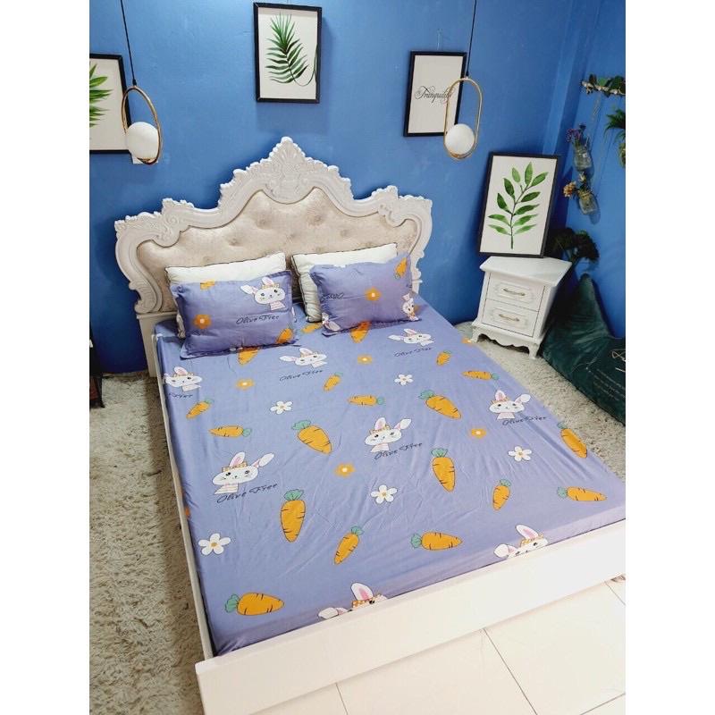 Một Áo Gối Vỏ Gối Mền Mịn Cotton Poly Size 65cm x45cm Chọn Mẫu