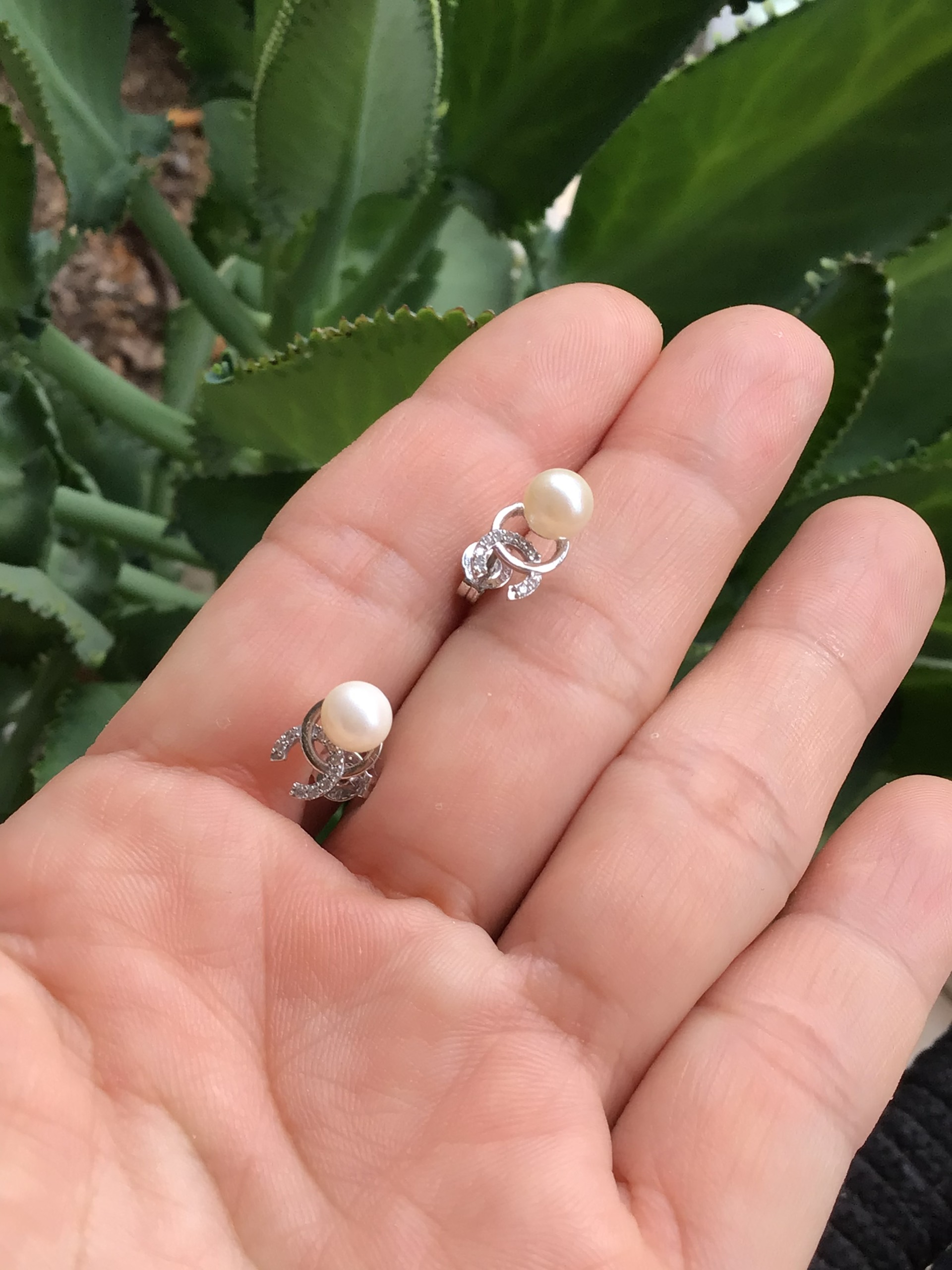 Hoa tai Bạc 925 xi Kim và Trai biển Akoya