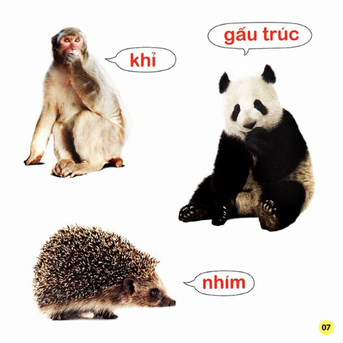 100 Từ Đầu Đời Của Bé: Con Vật (Tái Bản 2023)