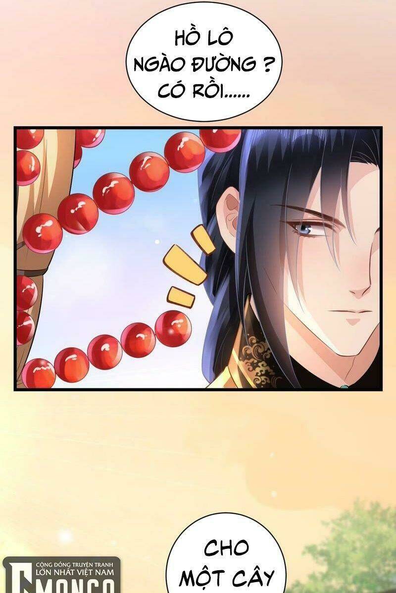 quận chúa vững vàng, thiết lập nhân vật không thể vỡ chapter 61 24