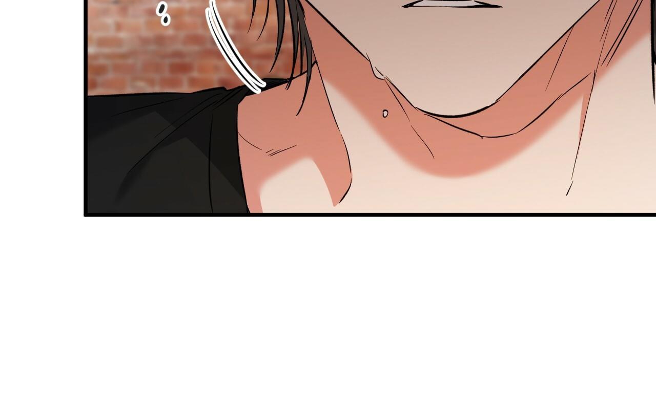 đàn thỏ của habibi chapter 53 24