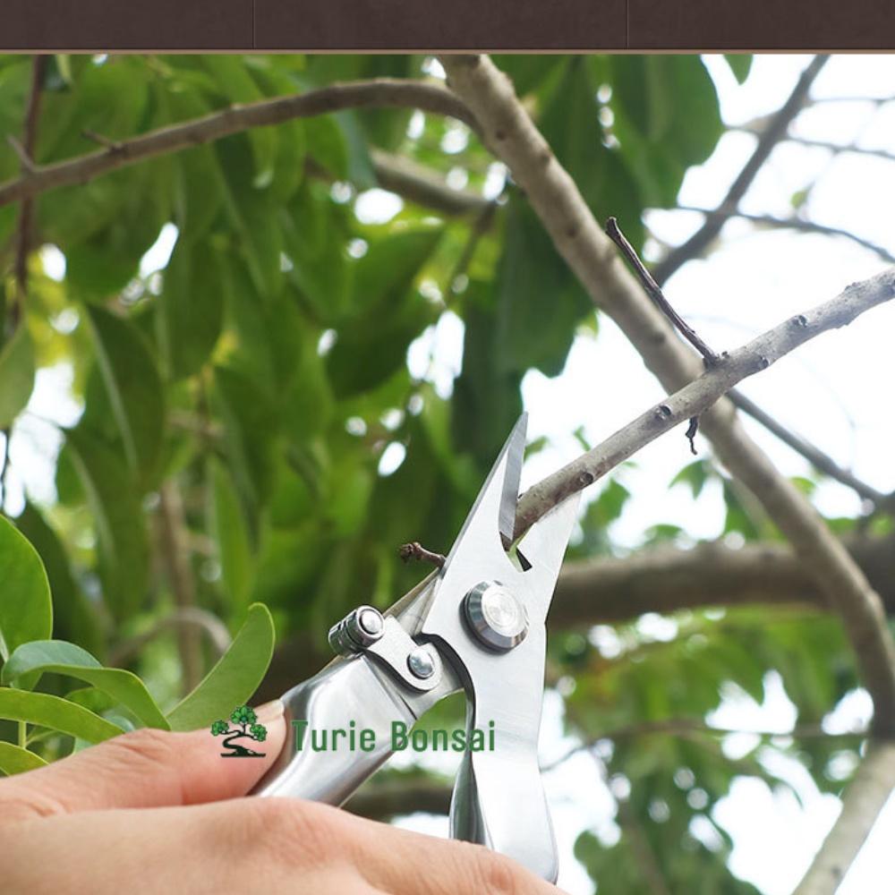 Kéo cắt cành thép đúc trắng nguyên khối siêu sắc Nhật Bản