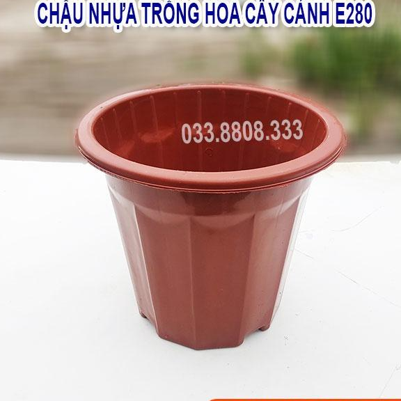 10 Chậu Nhựa Nâu Trồng Cây E280 - Chậu Bền Đẹp