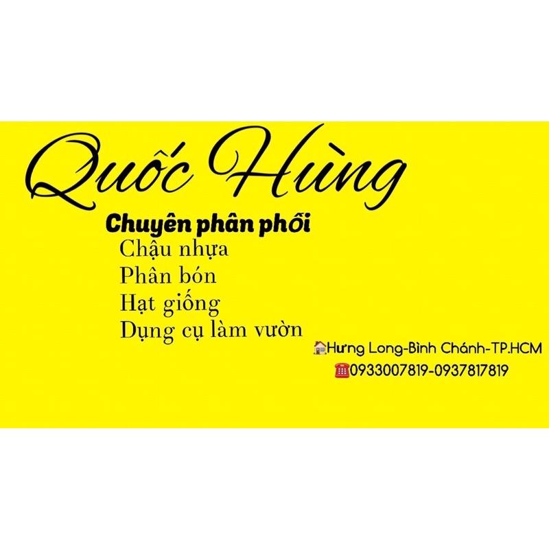 Chậu nhựa đen trồng cây C12