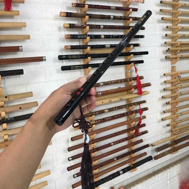 Sáo trần tình