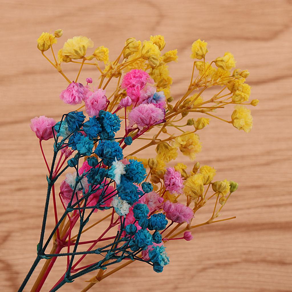 Túi Hoa Ép Khô Dùng Trang Trí Thủ Công Đa Năng