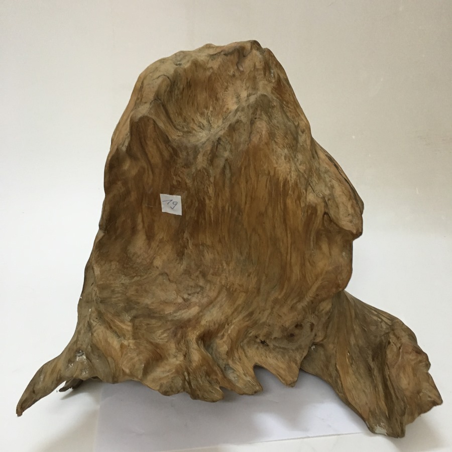 Gỗ lũa ngọc am tự nhiên phong thủy Mã 19