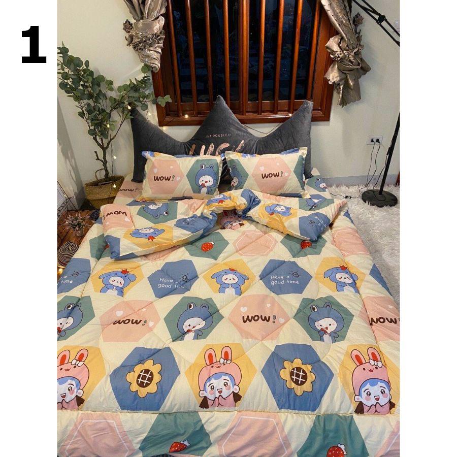 Bộ chăn ga gối vải cotton poly 5 món chăn chần phao loại có ruột bông dày