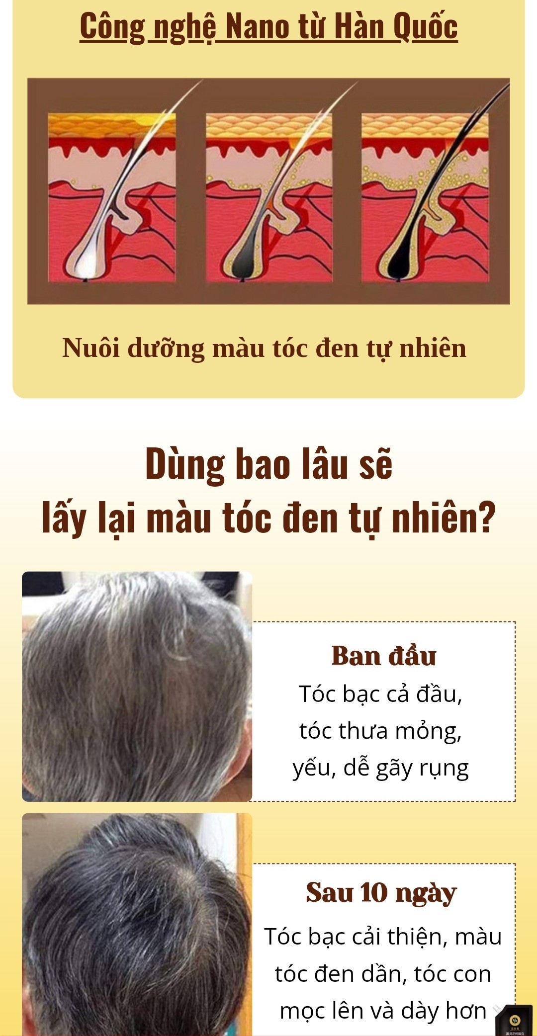 [MUA 1 TẶNG 1] Cao phủ bạc linh chi đen phủ đen mái tóc nuôi dưỡng tóc đen khỏe bóng mượt