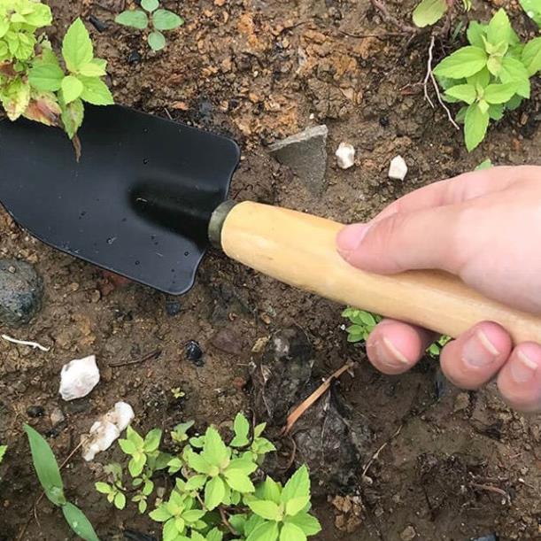 Bộ làm vườn mini cuốc xẻng trồng cây đủ món