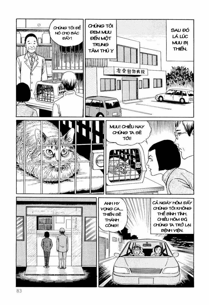 ito junji cat's diary chapter 8 5