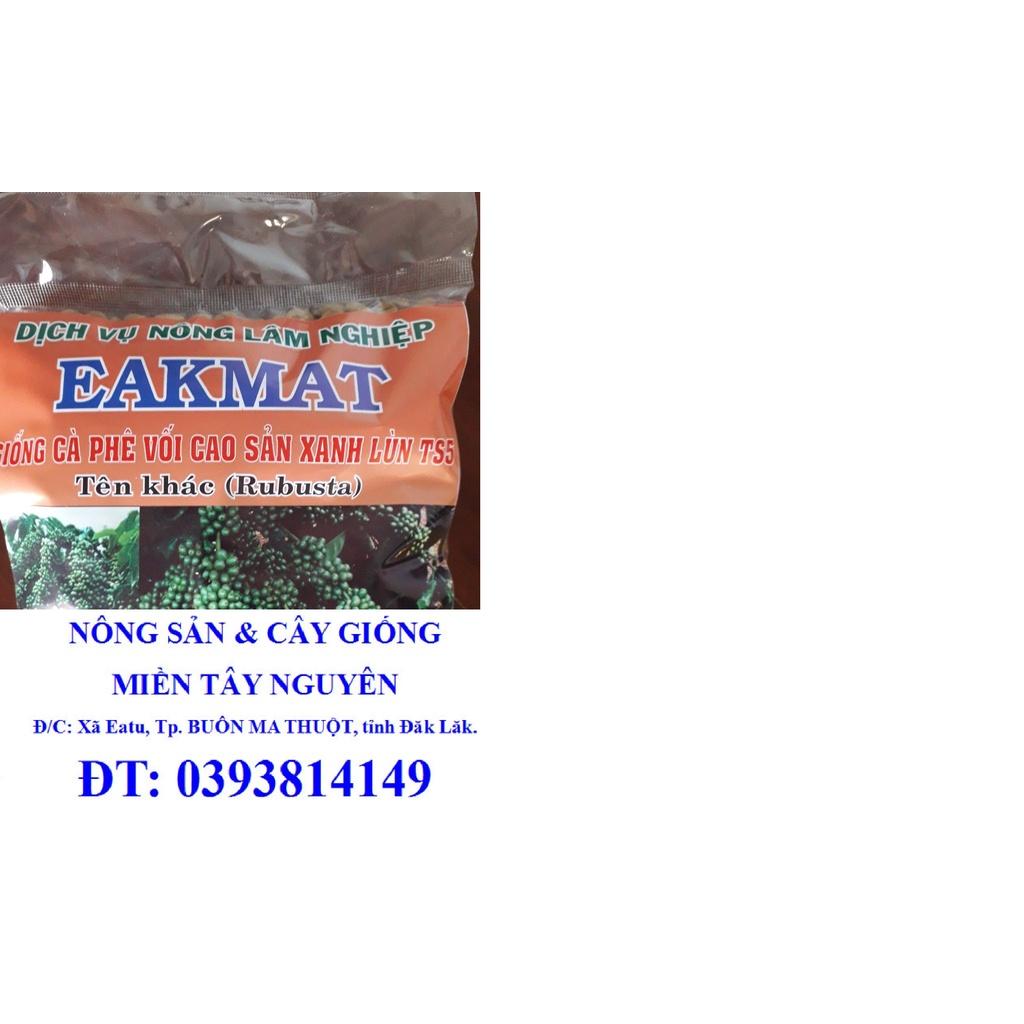 200 GRAM Hạt giống Cây Cà Phê Xanh Lùn HẠT TUYỂN CHỌN