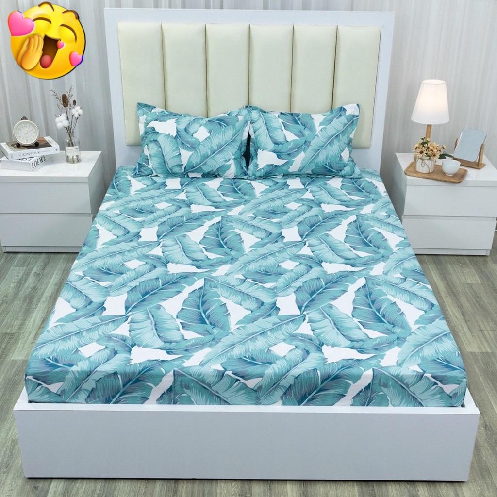 Set 1 ga và 2 vỏ gối cotton Poly đủ kích thước 1m2 đến 2m*2m2 Nhà Nhím Bedding