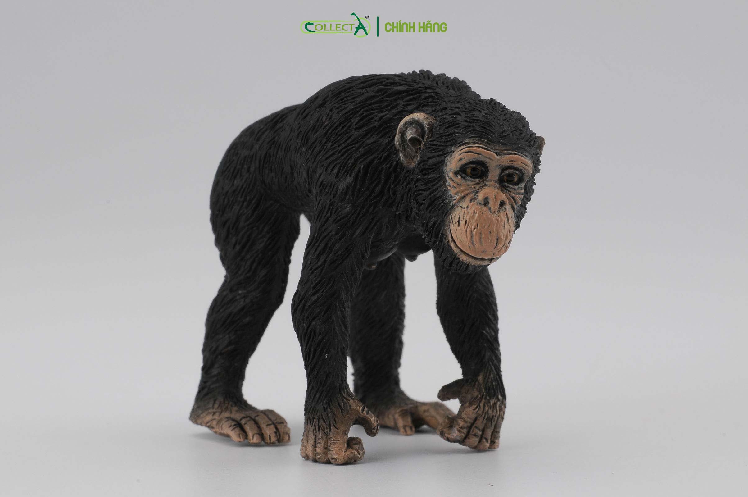 Mô hình thu nhỏ: Tinh Tinh mẹ - Chimpanzee Female, hiệu: CollectA, mã HS 9651030[88493] -  Chất liệu an toàn cho trẻ - Hàng chính hãng