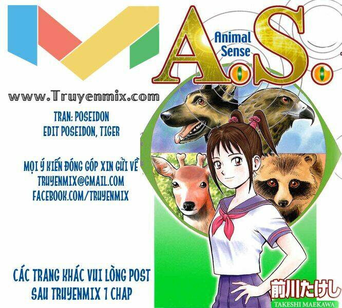 animal sense chapter 11 1