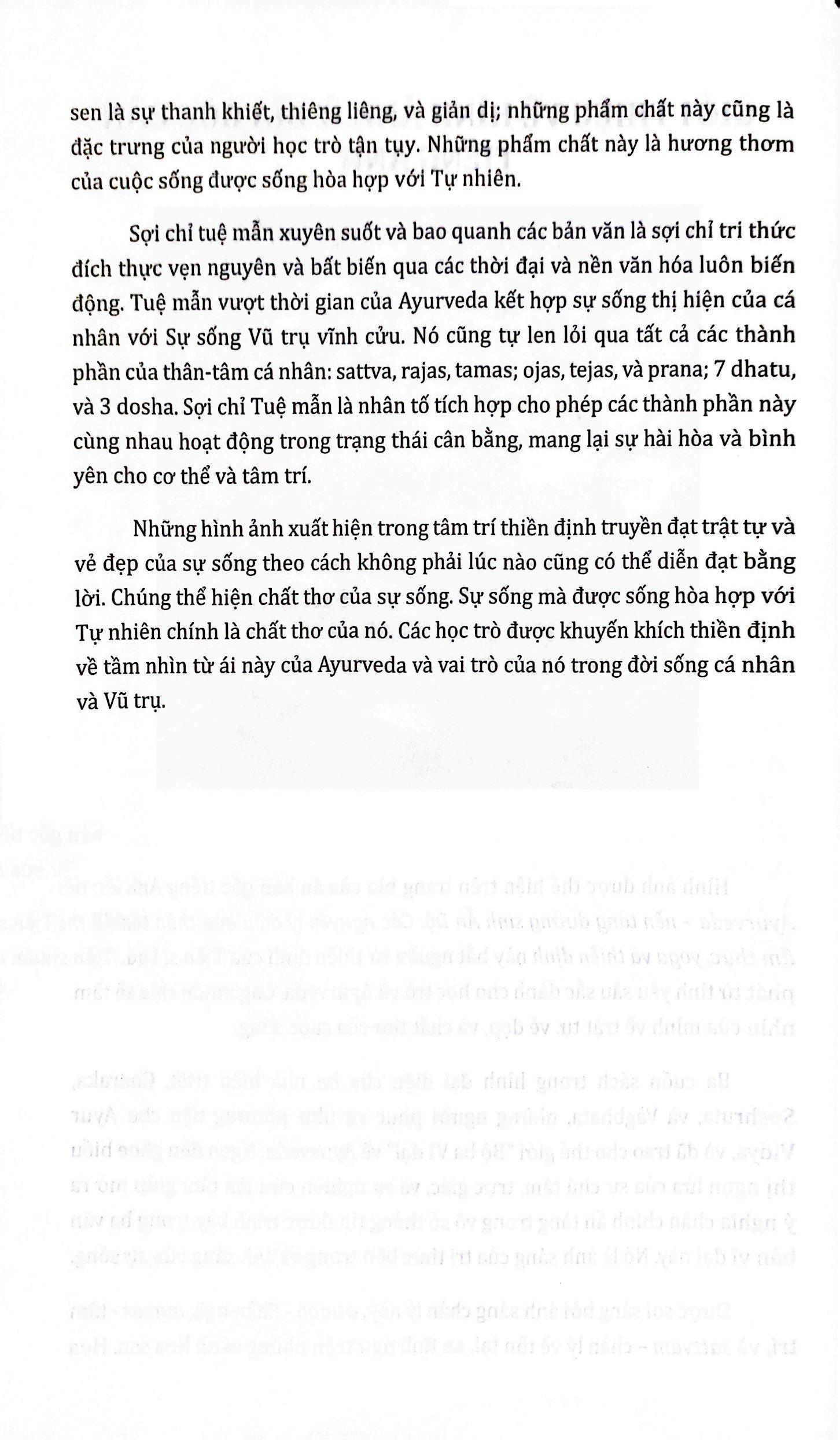 Ayurveda - Nền Tảng Dưỡng Sinh Ấn Độ