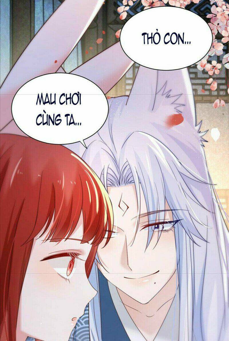 hắc hóa nam chính trực tuyến nuôi thỏ chapter 66 23