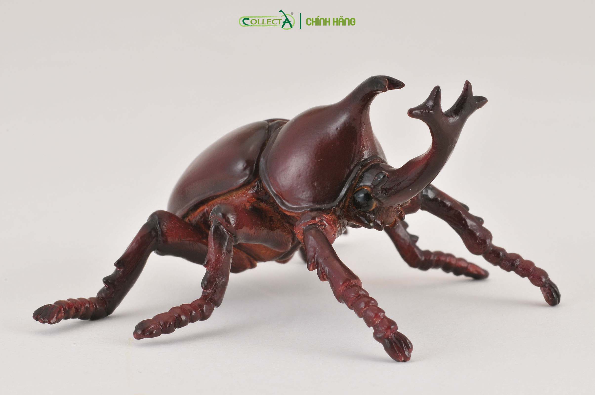 Mô hình thu nhỏ: Kiến Vương - Rhinoceros Beetle, hiệu: CollectA, mã HS 9653100[88337] -  Chất liệu an toàn cho trẻ - Hàng chính hãng